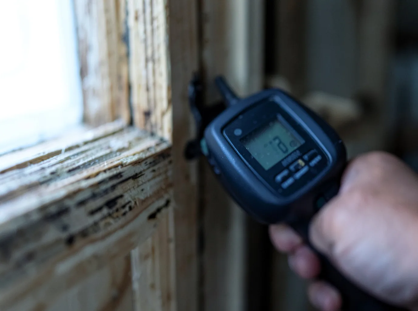 Moisture Inspection And Documentation in Glenview, IL